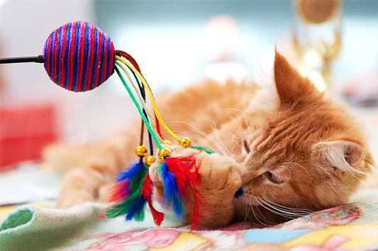 Cats Go Crazy for These Unique and Fun Cat Toys