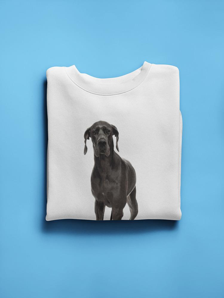Great Dane Dog Sweatshirt -SPIdeals Designs