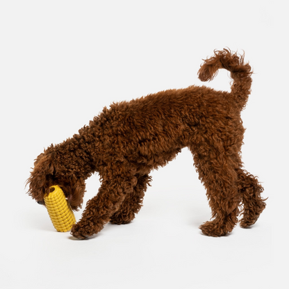 Corn Dog Toy