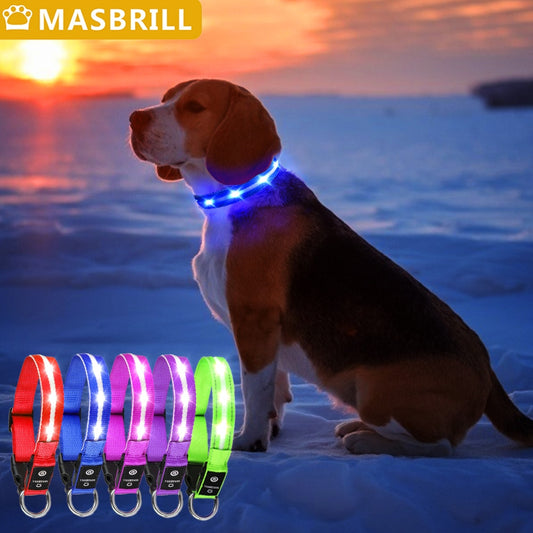 Dog Collar Waterproof USB Rechargeable