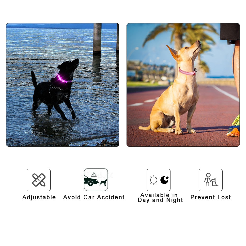 Dog Collar Waterproof USB Rechargeable
