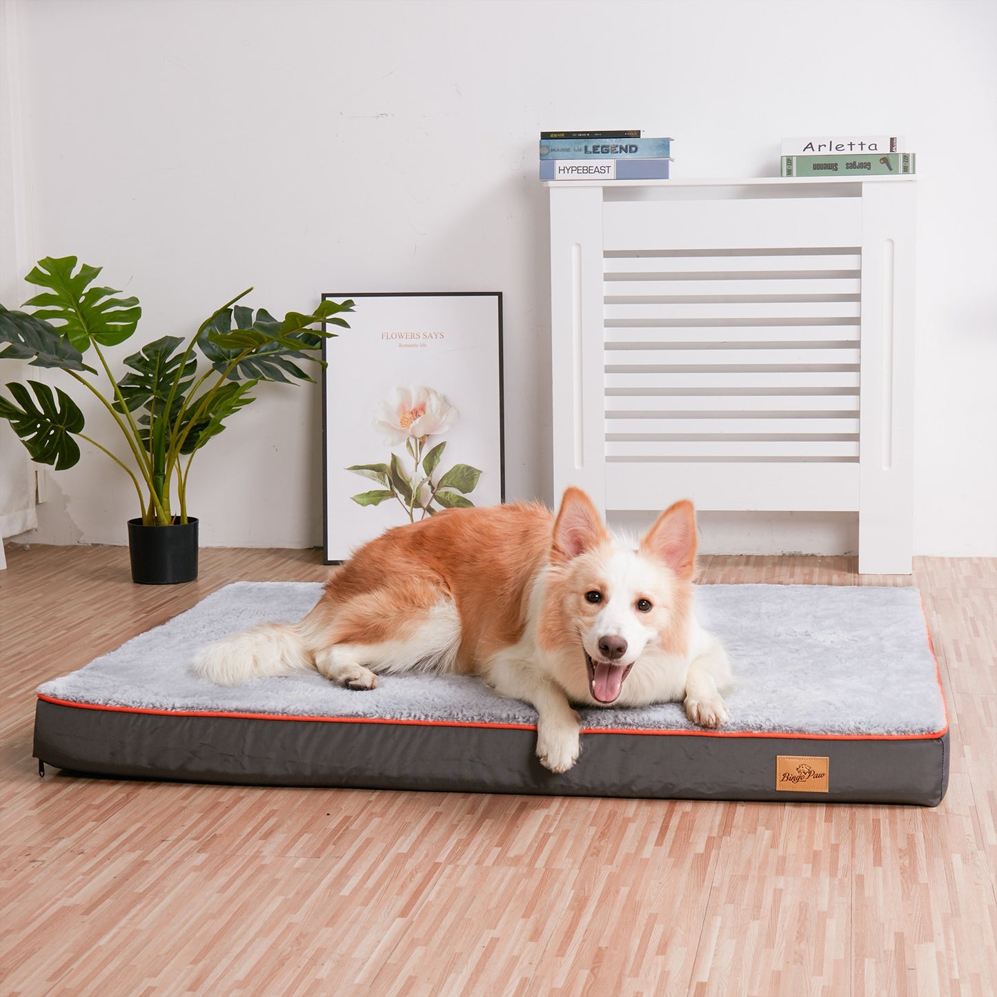 Large Orthopedic Dog Bed Memory Foam Washable