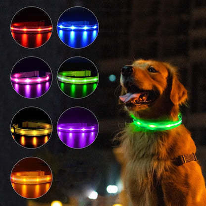 Rechargeable Pet Dog LED Glowing Collar