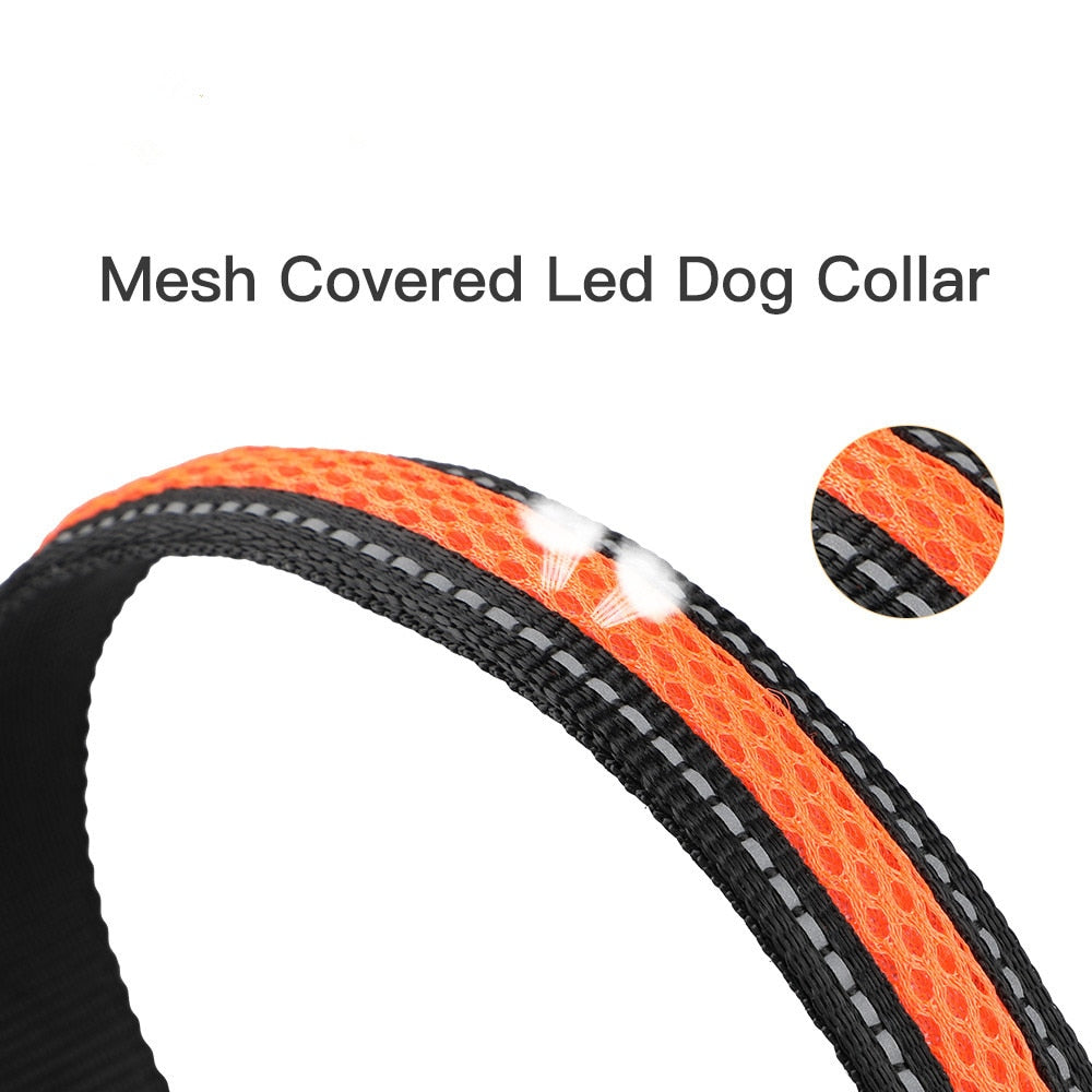 Dog Nylon Collar USB Flashing Charging LED