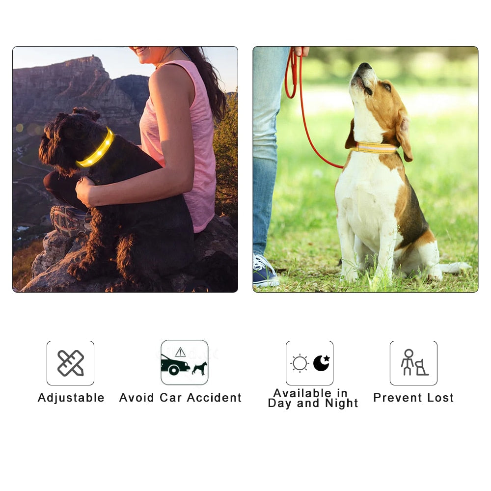 Rechargeable Pet Dog LED Glowing Collar