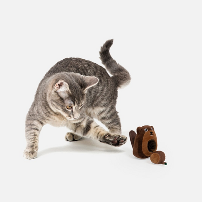 Woodlands Cat Toy Bundle